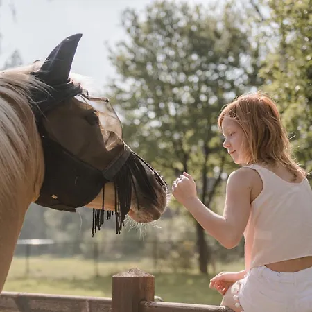 #glamping@de Verloren Sinjoor Kemping Bladel