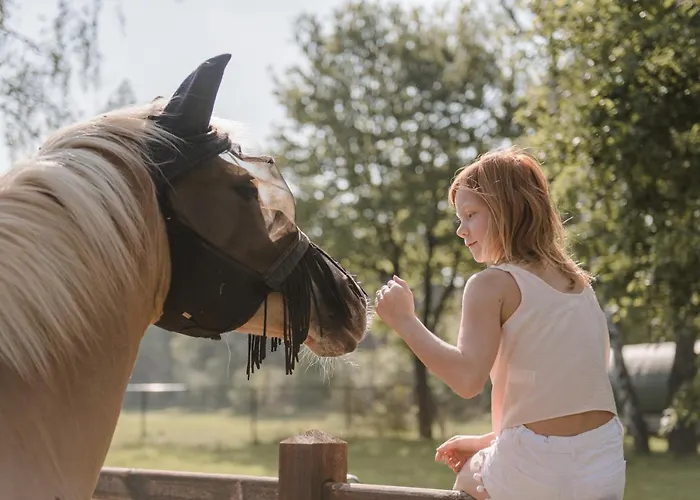 #glamping@de Verloren Sinjoor Kemping Bladel